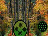 Autumn Forest Lake Escape