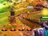 Creek Lake Forest Escape