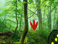 Mythical Emerald Escape