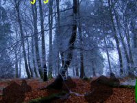 Spooky Haunted Forest Escape