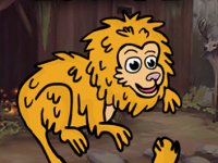 Golden Lion Tamarin Escape