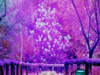 Thanksgiving Treasure Forest Escape