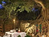 Christmas Party Garden Escape