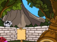 Armadillo Rescue From House