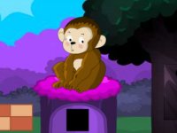 Humble Forest Escape