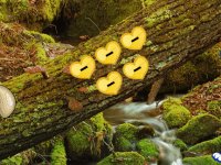 Mossy Bunny Forest Escape