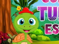Comely Turtle Escape