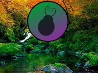 Woodpecker Family Escape