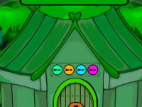 Brown And White Dog Escape