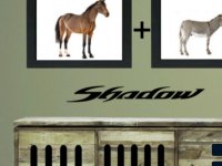 8B Lovely Tiny Boy Escape