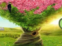 Dream Heart Forest Escape