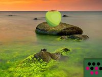 Twilight Lake Fairy Escape