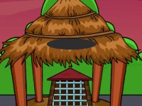 Rescue The Mourning Dove