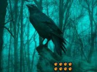 Halloween Petty Dracula Escape