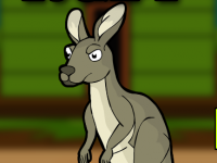 Eastern Grey Kangaroo Escape