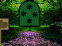 Green Density Forest Escape