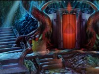 Mom And Joey Kangaroo Escape