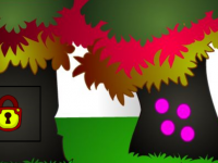 G2L Colourful Bird Escape