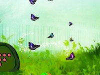 Whimsical Fruit Escape