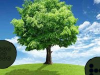 Nature Grass Land Escape