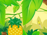 Rescue American Redfox Family