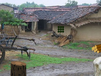 Village Lady Goat Escape