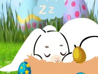 Wakeup The Bunny