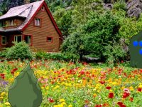 Easter Scenery Escape