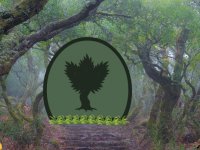 Fantasy Dragon Forest Escape