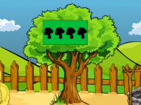 Finding And Giving Seed To The Farmer