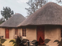 HOG Village Dog Escape