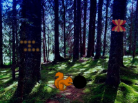 Chameleon Forest Escape