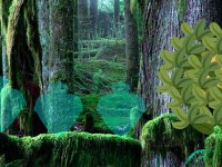 Mystifying Land Escape