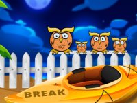 Pretty Red Bird Rescue