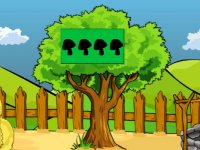 Finding And Giving Seed To The Farmer