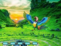 Macaw Mountain Valley Escape
