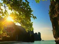 Tropical Sandy Forest Escape