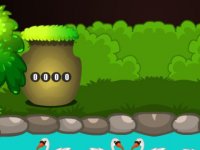 Rescue The Cute Birds