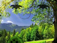 Lavender Spring Forest Escape