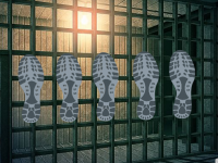 Rescue Doctor From Jail