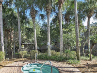 Sneaky Escape Palm Vista