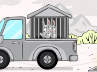 White Rabbit Family Escape