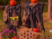 Halloween Pumpkin Land Escape