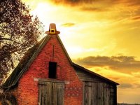 Golden Turkey Gem Escape