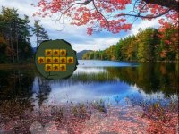 Save The Wild Turkey