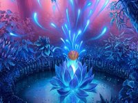 Cheetah Rescue From Forest