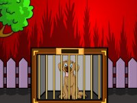 Cute Brown Dog Escape