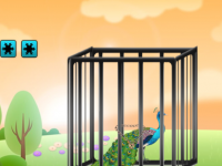 Rescue The Radiant Peacock