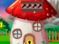 Scarlet Macaw Rescue From Cage