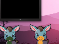 Cheerful Donkey Rescue